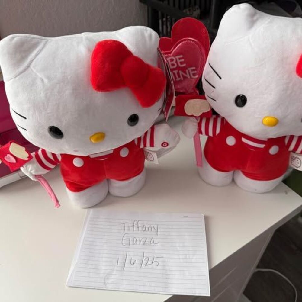 Hello kitty Valentines Greeter